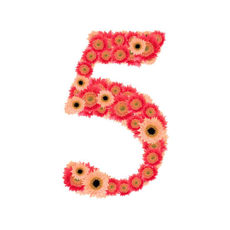 Number 5の写真素材