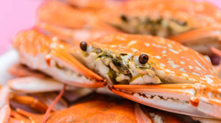 Steamed crapの写真素材