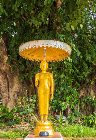 buddha statueの写真素材