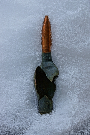 Old cartridge in the snow