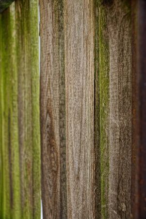 Gray wooden texture from an old fenceの写真素材