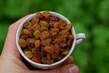 Cup brown raisins in the hand on green backgroundの写真素材