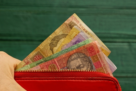 Red purse on a green background