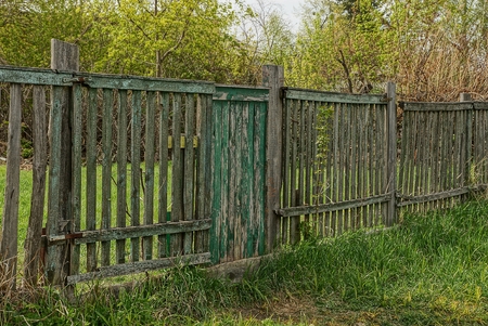 Old gray fence with a green wicket in the grassの写真素材