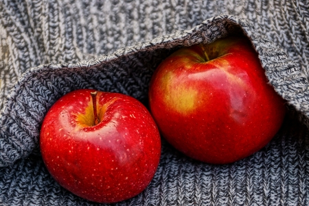 Red apples in a gray woolen toweの写真素材