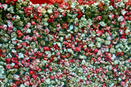 Multicolored popcorn behind a glass showcaseの写真素材