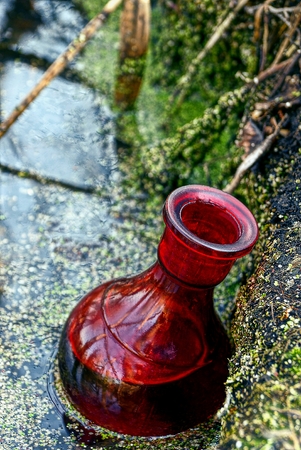 Bulb in the swampの写真素材