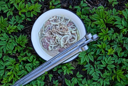 Marinated meat for shish kebab and skewers on the grassの写真素材