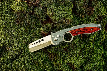 The hunting knife is stuck in green moss on a tree in the forest