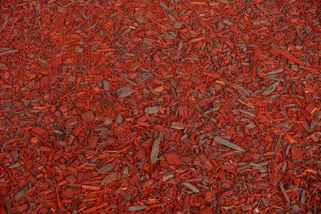 Red texture of small dry sawdust tree barkの写真素材