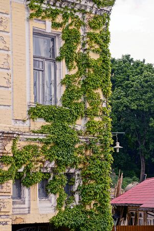 The corner of a brick house with a window overgrown with green vegetationの写真素材