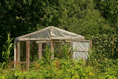 A small old glasshouse of glass and a film among the greenery and vegetation in the gardenの写真素材