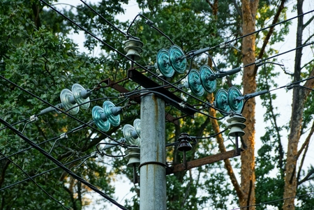 Post with high-voltage wires among branches of leavesの写真素材