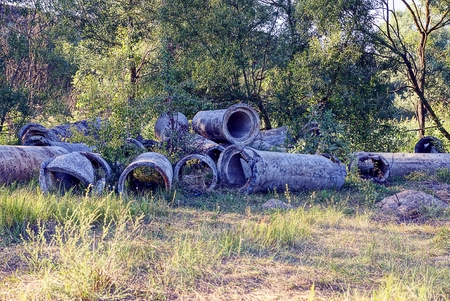 Old concrete columns in the park in the grass and vegetationの写真素材