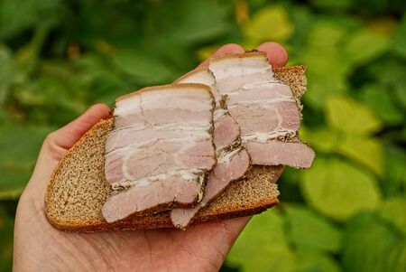 Bread and pieces of ham in the palm of the hand on the background of green leavesの写真素材