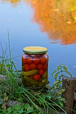 glass jar with vegetables on the lake shore in the grassの写真素材