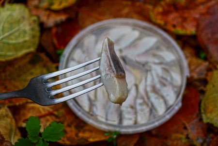 a piece of fish on a plateの写真素材