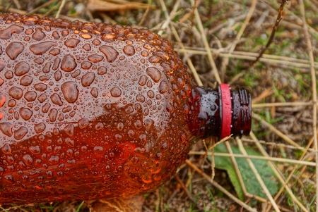 empty plastic bottle in the grassの写真素材