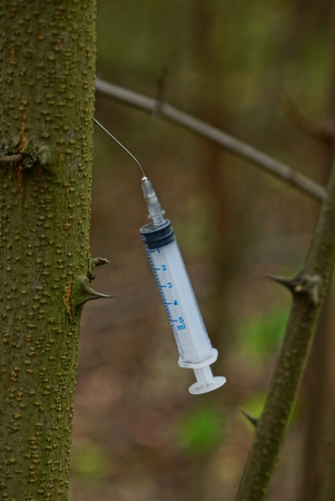 empty white syringe sticks out in a tree with thornsの写真素材