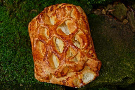 Fried patty with cottage cheese on green mossの写真素材