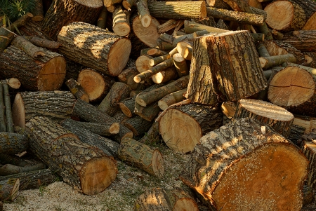 texture of a pile of brown firewood and logs in the yard