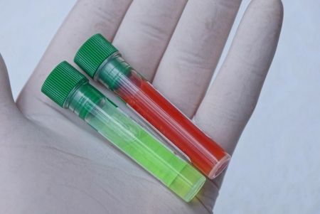 two test tubes with colored liquids on an open palm in the glove