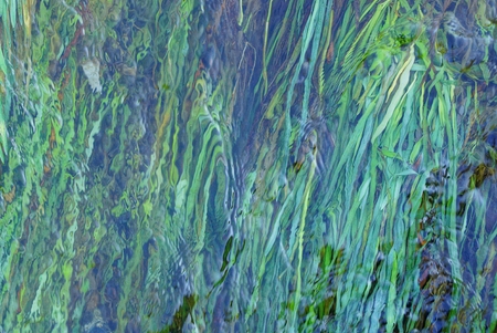 background of a stream of water and green plants in the background