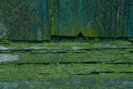wooden backgroundの写真素材
