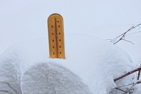 brown wooden thermometer in the snowdrift of the snow in the branches of the plants in the winter...