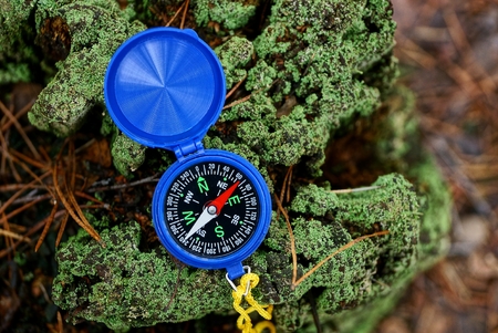 blue compass lies on a green stump in the forestの写真素材