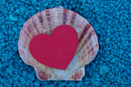 a small shell and a red heart on blue small stonesの写真素材