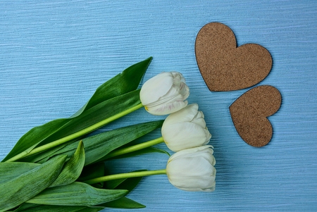 white tulips and two brown hearts on a blue backgroundの写真素材