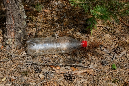 an empty plastic bottle lies on a brown dry needle and cones in the forestの写真素材
