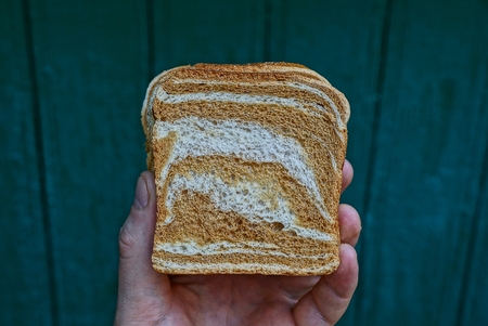 piece of square bread in hand on a green backgroundの写真素材