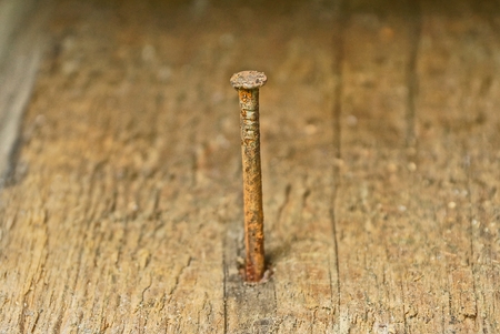 old long rusty brown nail in a wooden boardの写真素材