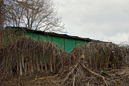 old broken wooden fence overgrown with dry vegetation near the green wall against the skyの写真素材