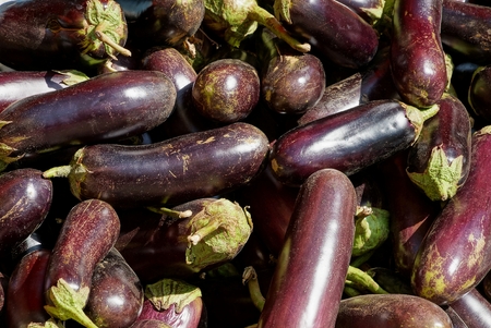 eggplants in a heapの写真素材