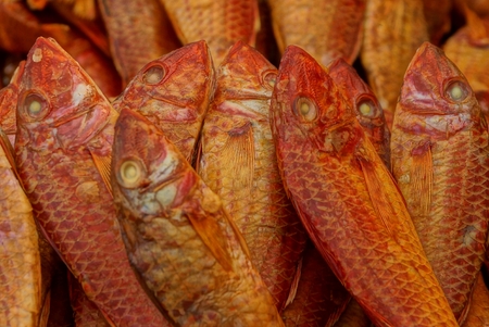 natural texture of sea smoked red snapper fish