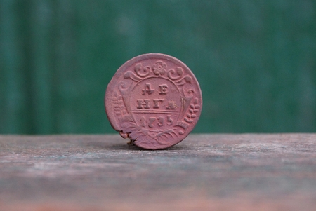 old brown russianの写真素材