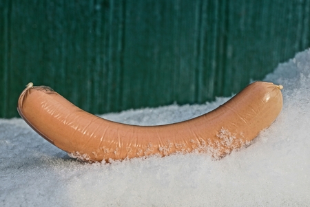 long brown raw sausage lying near the green wallの写真素材