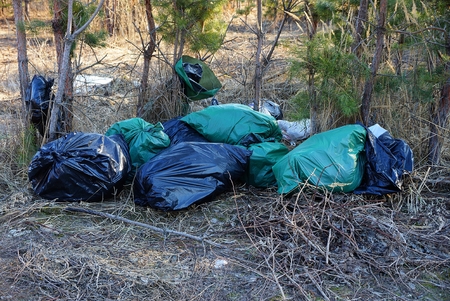 among the dry grass and trees