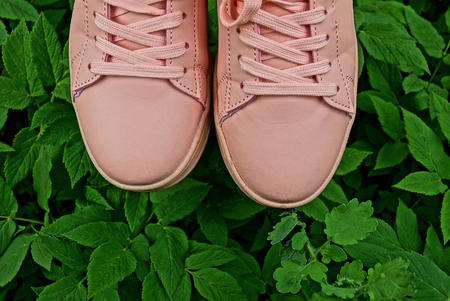 green grass and leaves outside pairの写真素材