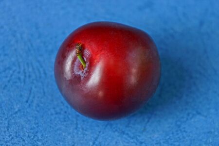 one red fresh ripe plum lies on a blue tableの写真素材