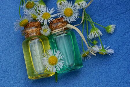 white daisies on a blue tableの写真素材