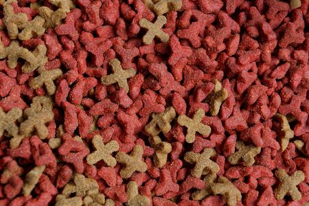 red brown texture of dry cat foodの写真素材