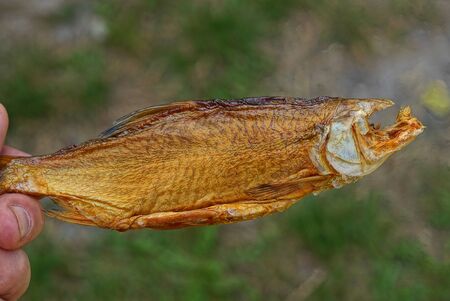 fingers hold dry brown fish