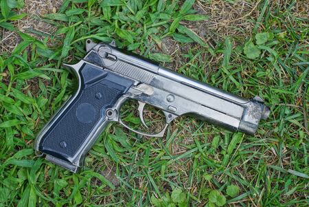 one gray gun lies on the green grass in the street