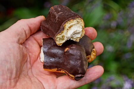 pieces of brown chocolate custard cake lie on the fingers