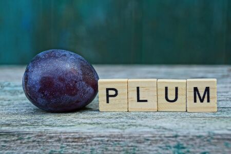 one blue plum and the word from wooden letters on a gray tableの写真素材