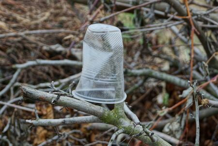 trash from an empty white plastic glass hanging on a gray tree branch in natureの写真素材